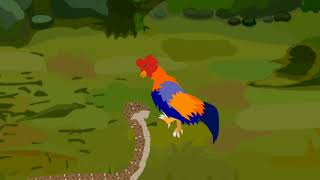 Cobra vs rooster animation