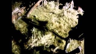 OP:Omaha Beach Combat Airsoft Wisconsin (night airsoft assault) p.1