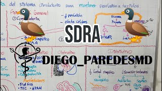 🫁 Sindrome de Dificultad Respiratoria Aguda (SDRA)   🫁 - Fisiopatología