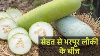 लौकी के बीज खाने के फायदे - Benefits of Bottle Gourd Seeds in Hindi