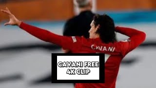 Cavani - Free 4k Clip