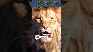 शेर की शायरी | Shayari Shero Wali  Sher Ki Attitude Shayari | Best Shayari in 2024 | Lion Shayari