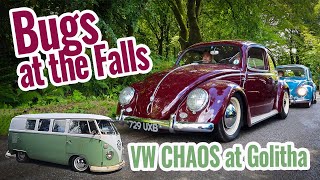 Surprise VW meet at the Golitha Falls