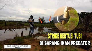 GK NYANGKA !!! MANCING SEBENTAR BAWA PULANG SEKARUNG