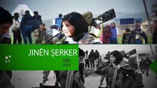 Храбрые афринские YPJ