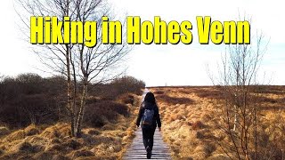 4K - BEAUTIFUL HIKING TRAILS IN HOHES VENN, BELGIUM - 2022  | UNIQUE MOORLAND