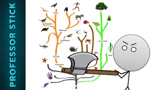 Chopping Down the Tree of Evolution