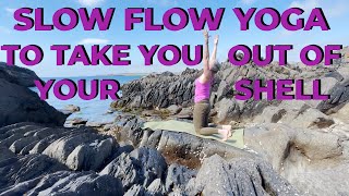 Slow Flow Yoga To Take You Out Of Your Shell - West Cork, Ireland