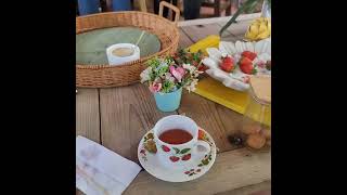 Mira  !!! como te tratan antes de salir a recolectar las fresas en Constanza.