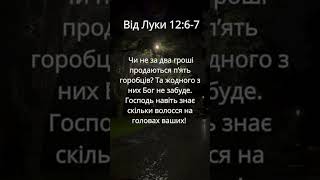 Євангеліє від Луки 12:6-7 #shorts #біблія