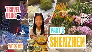 Shenzhen, China Vlog  (Part 3)- Crab Noodles, Dong Men Market, Dong Men Spectacles, Night Light Show