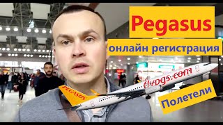 Регистрация билетов онлайн Pegasus