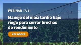 [Webinar] Manejo del maíz tardío bajo riego para cerrar brechas de rendimiento