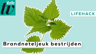 Zó gaat de jeuk van een brandnetel weg - Libelle Lifehack