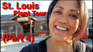 St. Louis Plant Nursery Tour (Part 4) | Plant Tour | Plant Shopping | Plant Nursery | Ep14