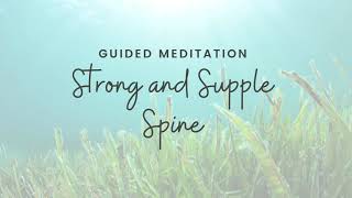 Strong and Supple Spine Meditation