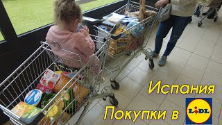 Лидл в Испании. Покупки для на неделю в Lidl