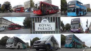 Plymouth Royal Parade Buses (October 2024)