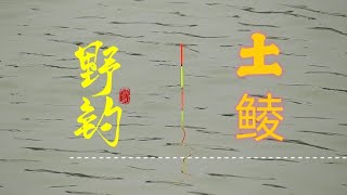 好想钓土鲮，按照梅州钓法调漂技巧，浮漂每一个信号都很有把握