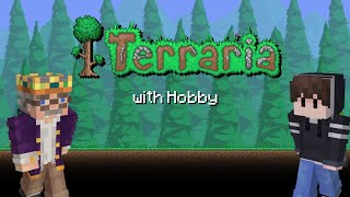 Terraria with Hobby