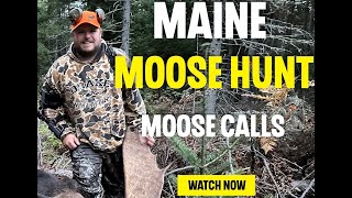 MOOSE HUNTING TIPS