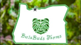 CANNABUZZ GARDEN SESSIONS with Nick From BulaBuds Farm