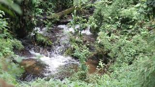 CACHOEIRA TOLDI