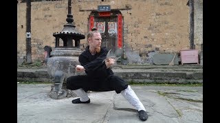 Wudang Masters- Liu Wei Lin 劉微林