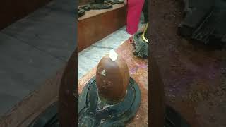 Bhole Ki Mahima || Sawan Special ||#shorts#viral#status#video#bholenath#shiv#mahadev