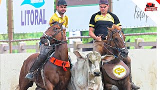 É o boi é o cavalo é o vaqueiro - Rai Saia Rodada (Clipes de vaquejada)