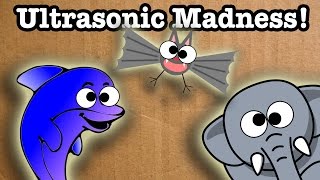 Ultrasonic Madness!