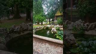 The pond with goldfish in the former mental hospital in Udine. Il laghetto dell'ex manicomio.