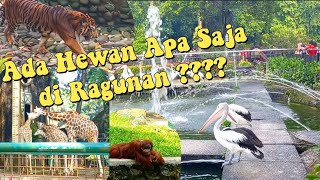 WISATA KEBUN BINATANG RAGUNAN JAKARTA