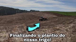 Encerrando a ultima área do nosso trigo, agora resta pouco!