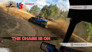 HONDA TALON chasing a CAN-AM MAVERICK - Nephton Mine Trails - #utvlife #honda #canam #speed