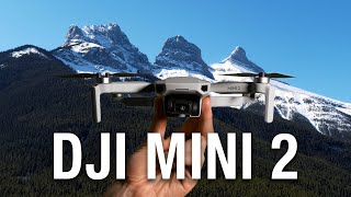 I Got My First Drone! DJI Mini 2 First Flight