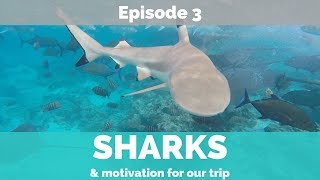 SWIMMING WITH SHARKS WHILE PREGNANT? || Episode 3 || Babymoon in Polynesia