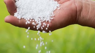 Use of Urea for Grass.                                (گھاس کیلئے یوریا  کا استعمال)