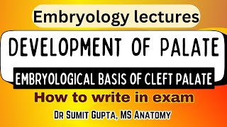 DEVELOPMENT OF THE PALATE | Cleft Palate |HUMAN EMBRYOLOGY