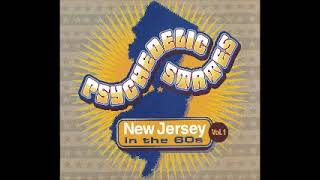 Various – Psychedelic States: New Jersey In The 60s Vol.1, Garage-Fuzz-Psych Moody Punk Music ALBUM