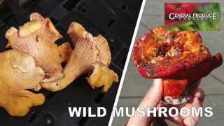 Produce Beat:  Wild Mushrooms