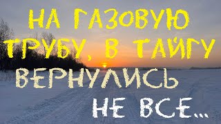 Экспедиция в тайгу // вернулись не все...