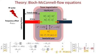 Nam Gyun Lee | Numerical Approximation to the General Kinetic Model for ASL Quantification