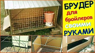 Бюджетный БРУДЕР ДЛЯ БРОЙЛЕРОВ своими руками из подручных средств