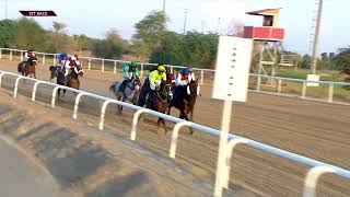 Al Ain 011124 Race 1