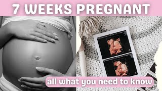 Baby's BIG Development at 7 Weeks of Pregnancy | 👶💖 Pregnancy Progress