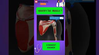 Identify the Muscle of upper limb quiz #upperlimbmuscles #anatomy #upperlimbanatomy