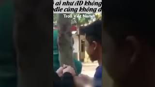 Troll Việt Nam