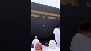 SubhanAllah Beautiful Islamic video #viral #youtubefeed #feed #ytshorts #viralvideo