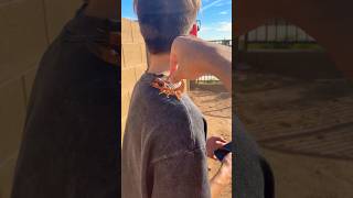 Subscribe for a Real Scorpion 😂